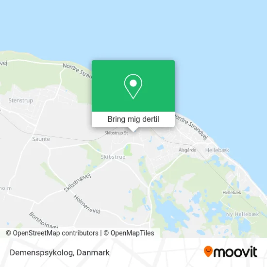 Demenspsykolog kort