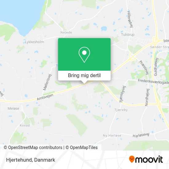 Hjertehund kort