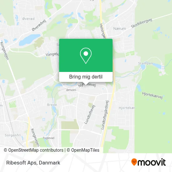 Ribesoft Aps kort