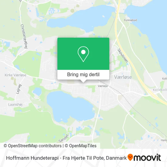 Hoffmann Hundeterapi - Fra Hjerte Til Pote kort