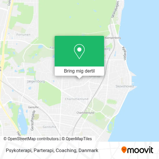 Psykoterapi, Parterapi, Coaching kort