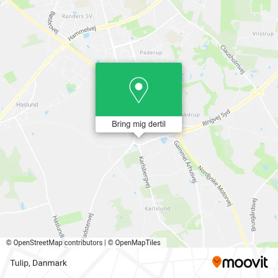 Tulip kort