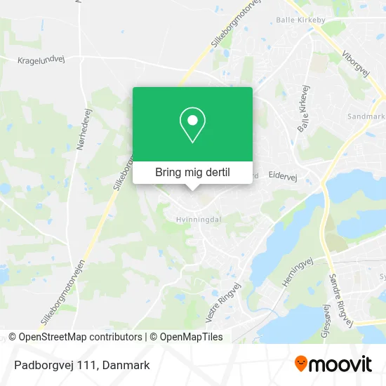 Padborgvej 111 kort