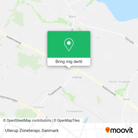 Ullerup Zoneterapi kort