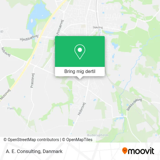 A. E. Consulting kort