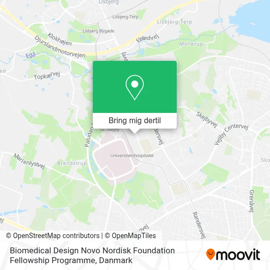 Biomedical Design Novo Nordisk Foundation Fellowship Programme kort