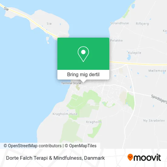 Dorte Falch Terapi & Mindfulness kort