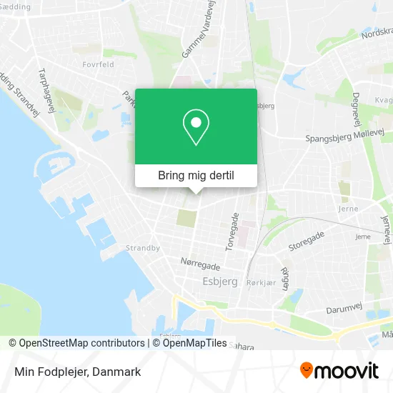 Min Fodplejer kort