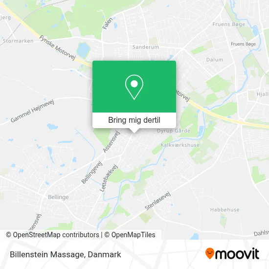 Billenstein Massage kort