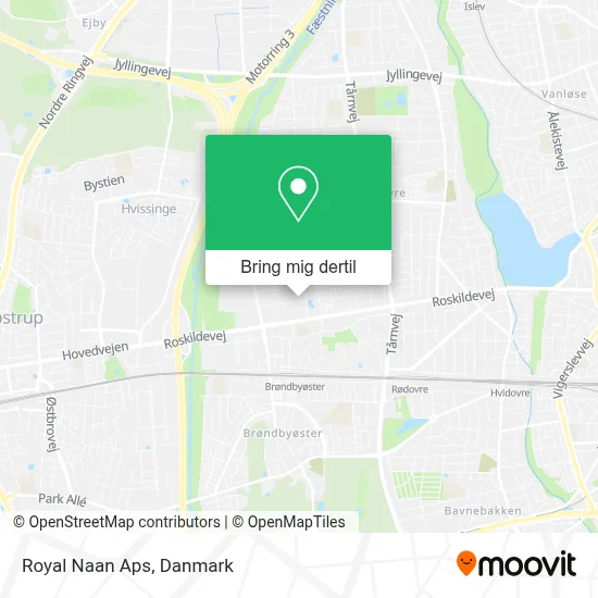 Royal Naan Aps kort
