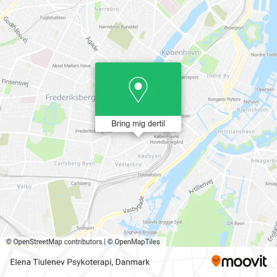 Elena Tiulenev Psykoterapi kort