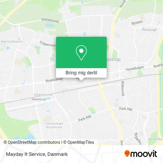Mayday It Service kort