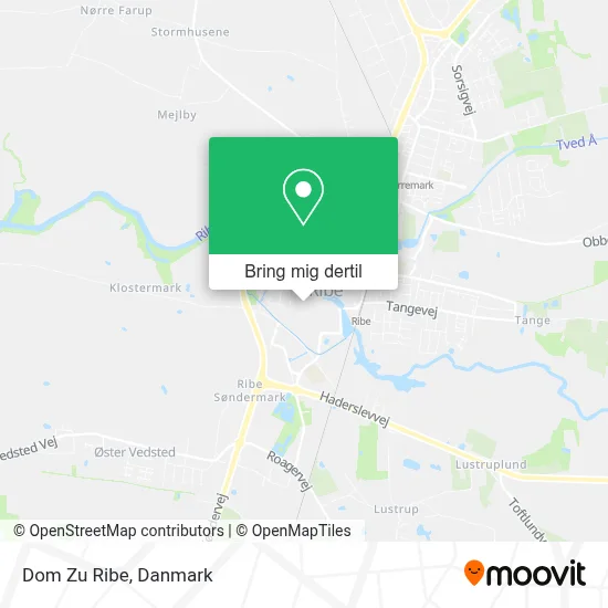 Dom Zu Ribe kort