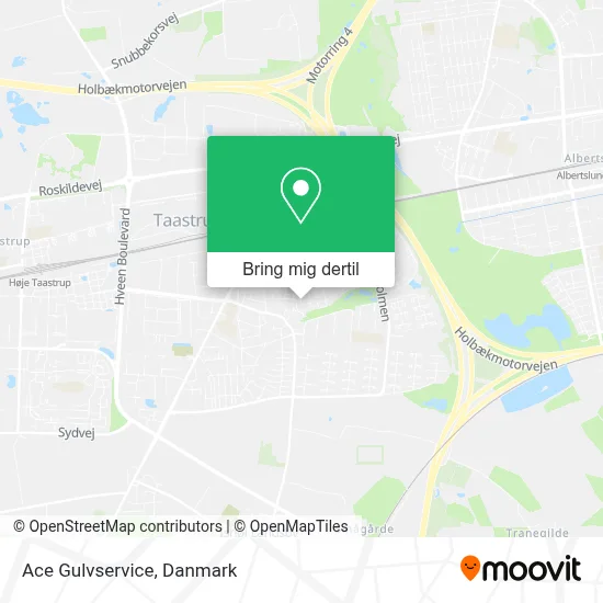 Ace Gulvservice kort