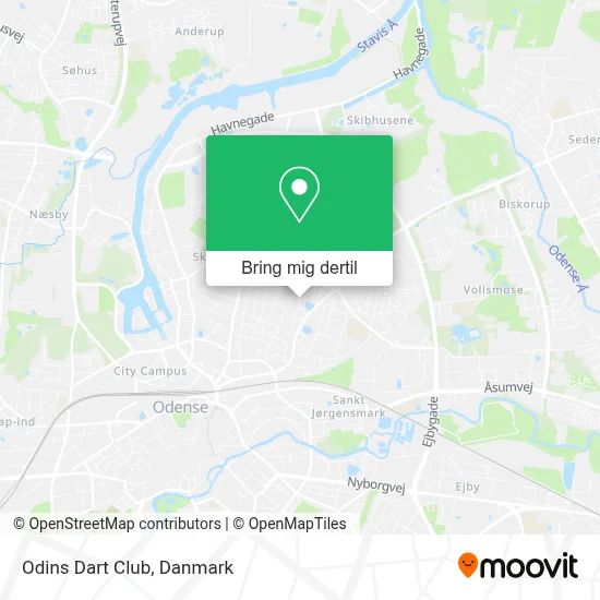 Odins Dart Club kort