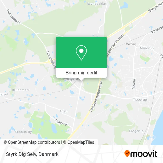 Styrk Dig Selv kort