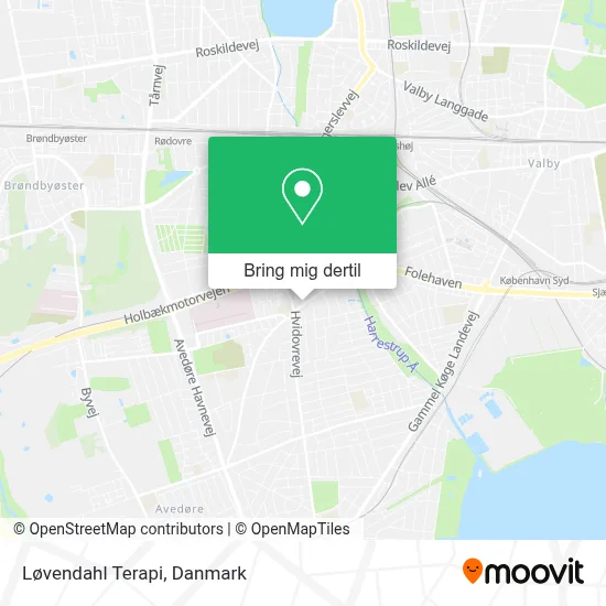 Løvendahl Terapi kort