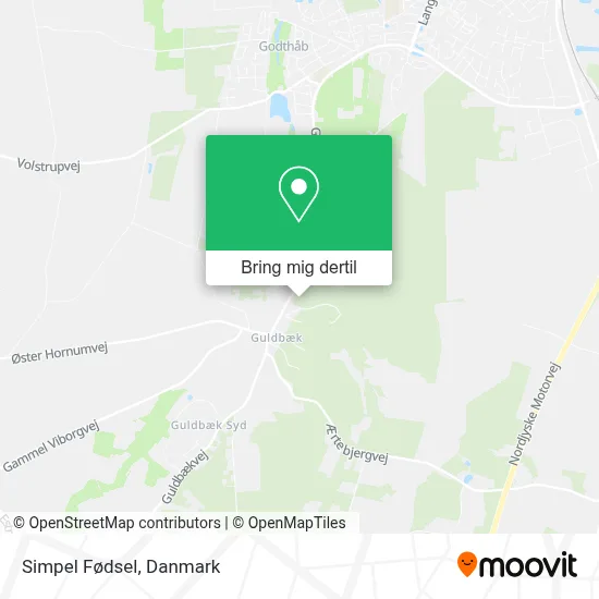 Simpel Fødsel kort