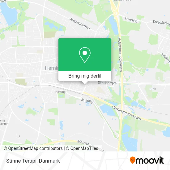 Stinne Terapi kort