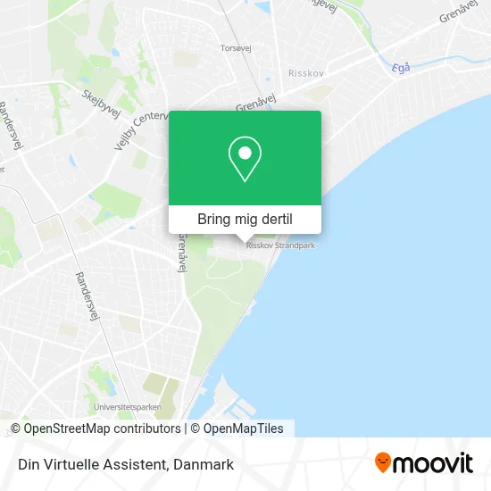 Din Virtuelle Assistent kort