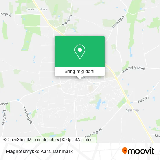 Magnetsmykke Aars kort
