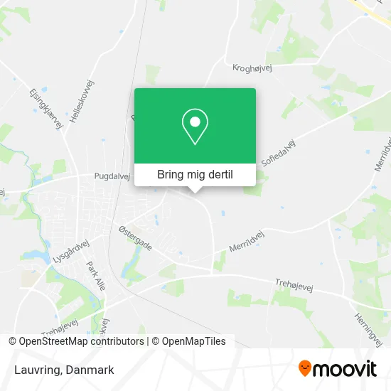 Lauvring kort
