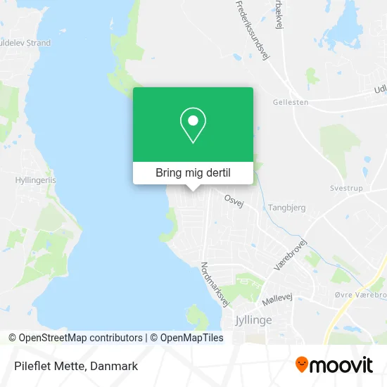 Pileflet Mette kort