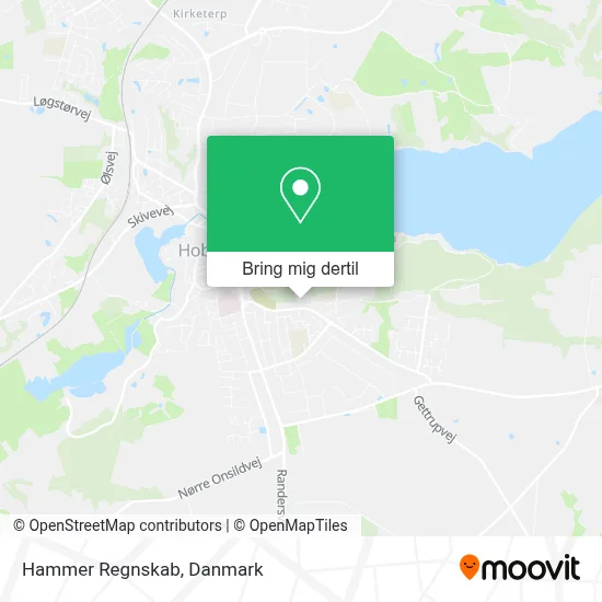Hammer Regnskab kort