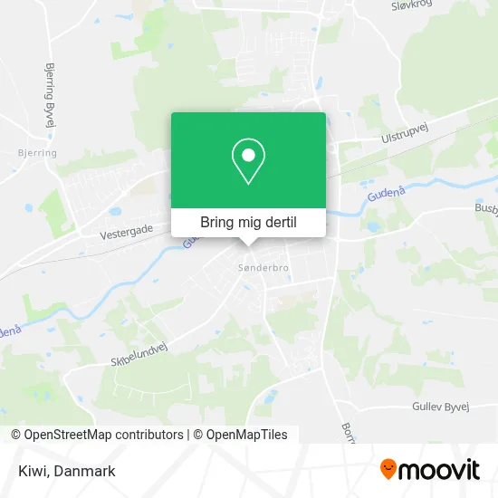 Kiwi kort