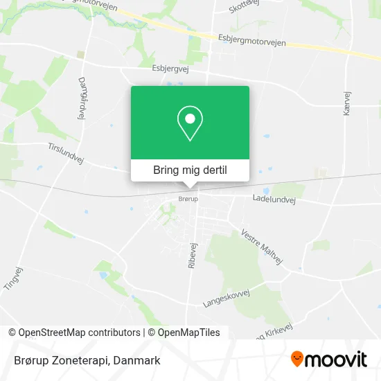 Brørup Zoneterapi kort