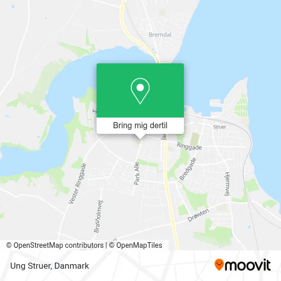 Ung Struer kort
