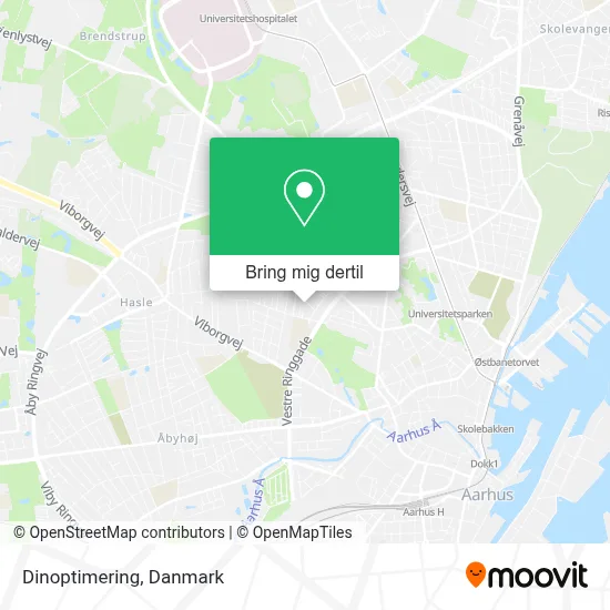 Dinoptimering kort