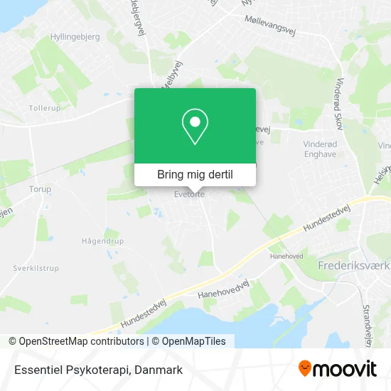 Essentiel Psykoterapi kort