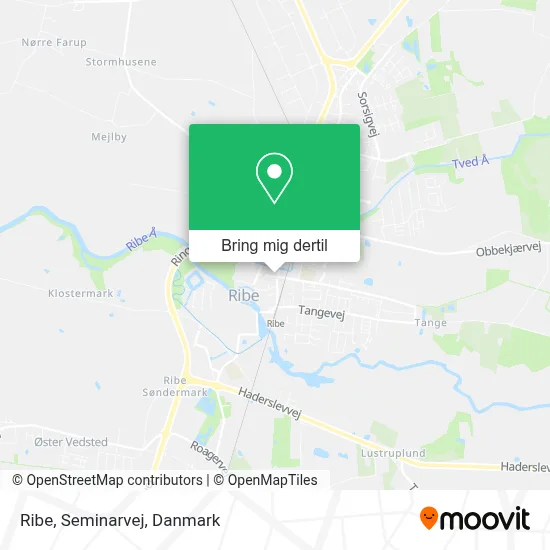 Ribe, Seminarvej kort
