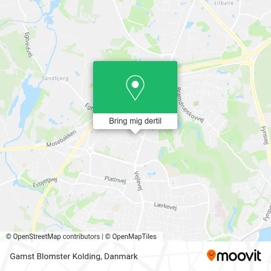Gamst Blomster Kolding kort