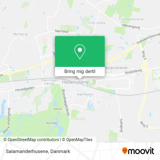 Salamanderhusene kort