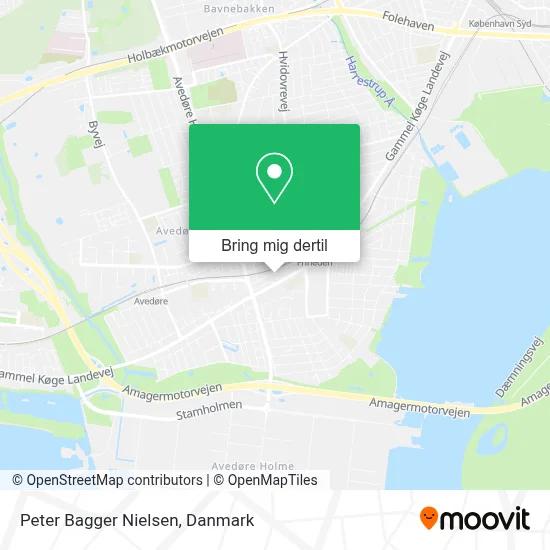 Peter Bagger Nielsen kort