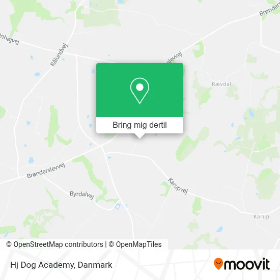 Hj Dog Academy kort
