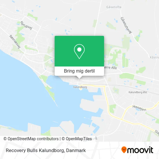 Recovery Bulls Kalundborg kort