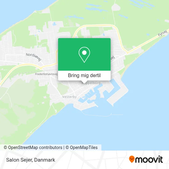 Salon Sejer kort
