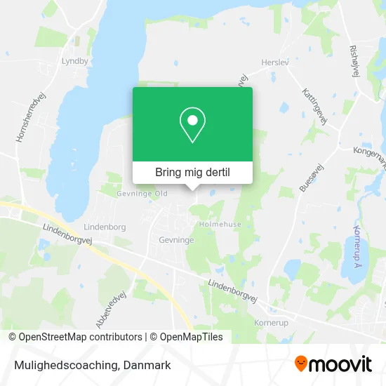 Mulighedscoaching kort