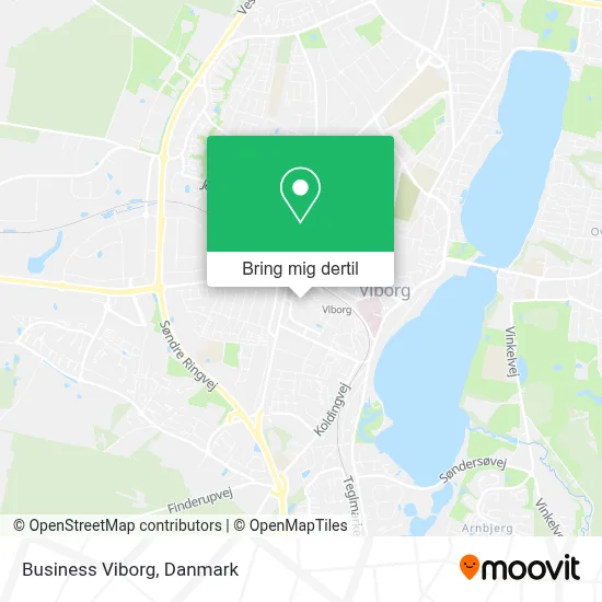 Business Viborg kort