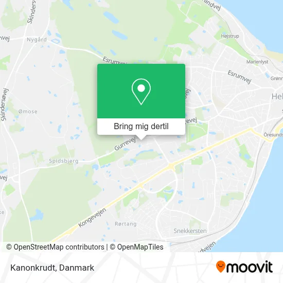 Kanonkrudt kort