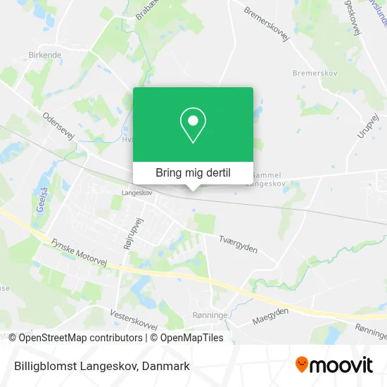 Billigblomst Langeskov kort