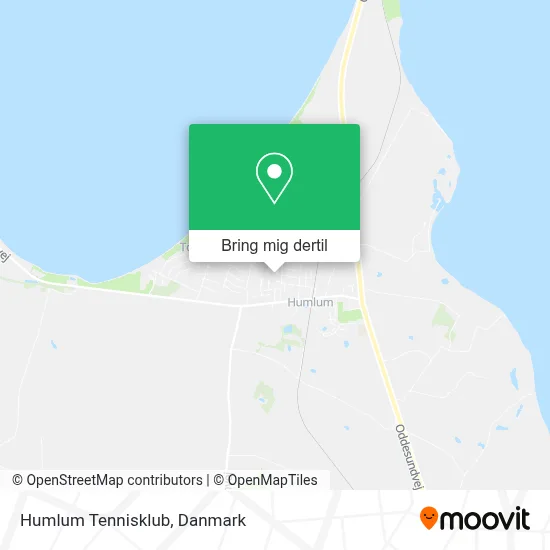 Humlum Tennisklub kort
