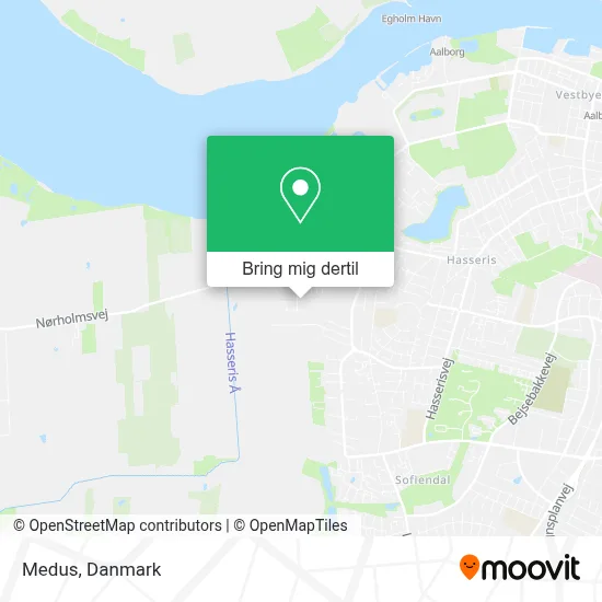 Medus kort