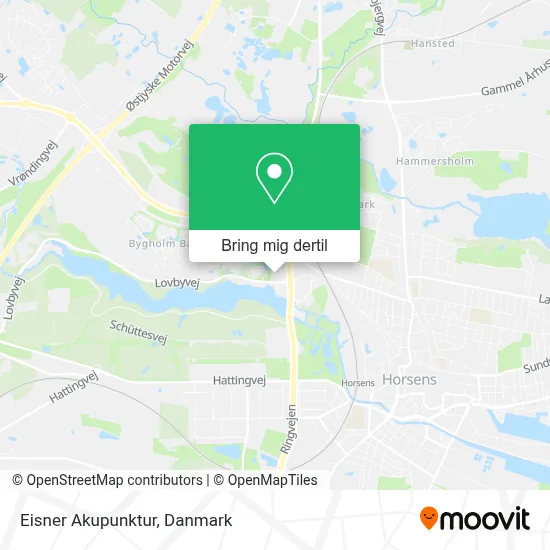 Eisner Akupunktur kort