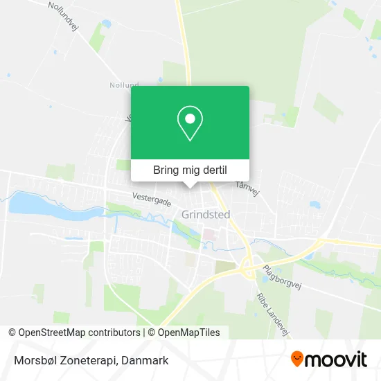 Morsbøl Zoneterapi kort