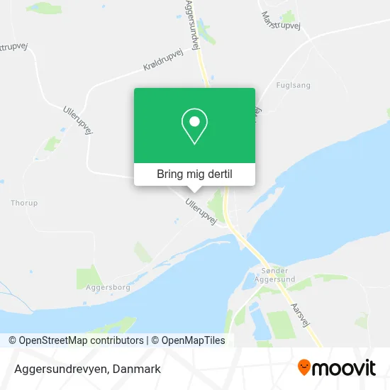 Aggersundrevyen kort