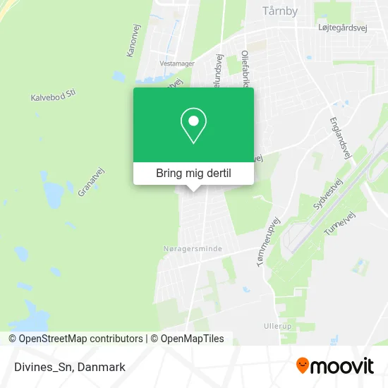 Divines_Sn kort